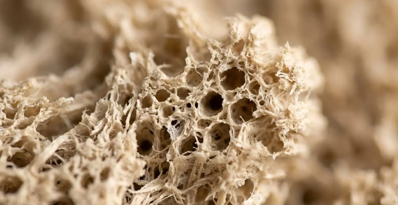 Gros plan macro sur les fibres de chanvre montrant leur structure poreuse et leur capacité d'absorption